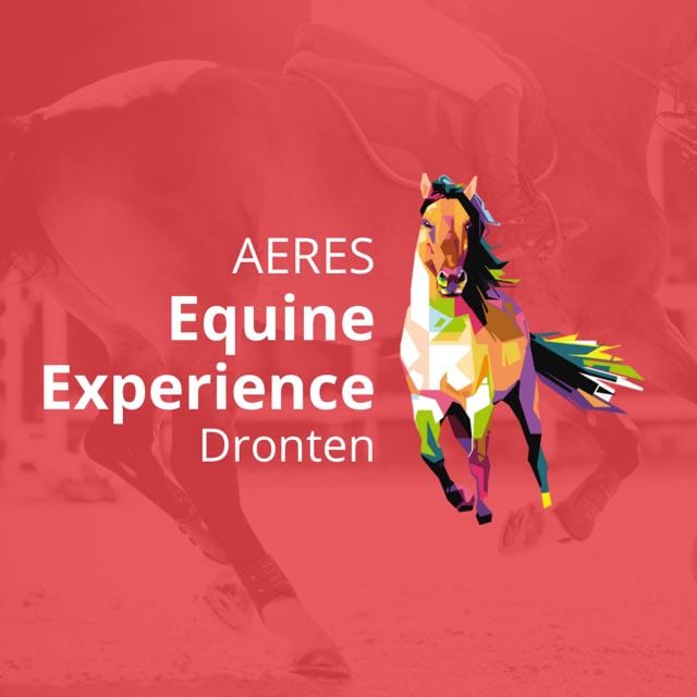 Aeresequineexperience Home